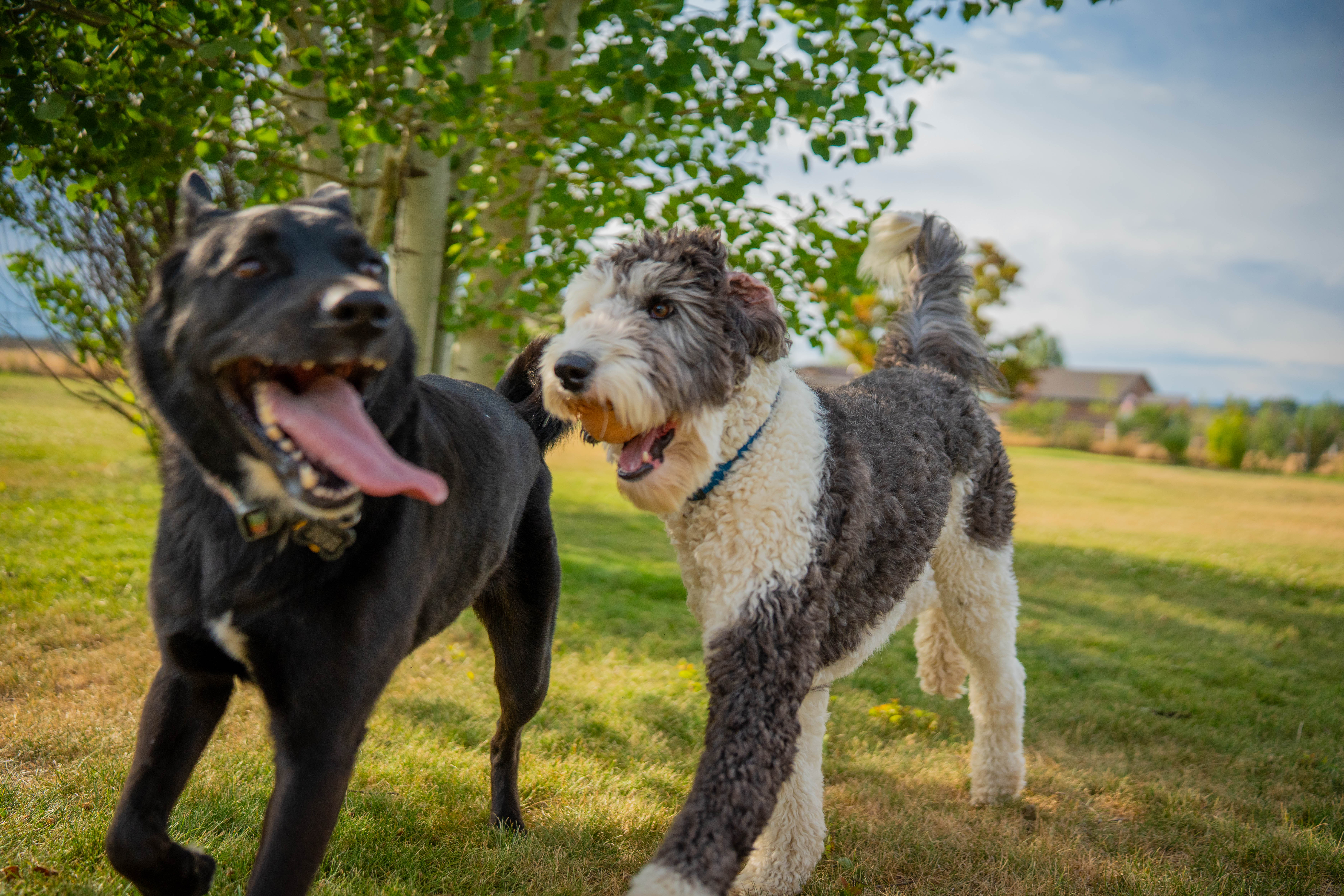 Clean, Calm, and Cared For